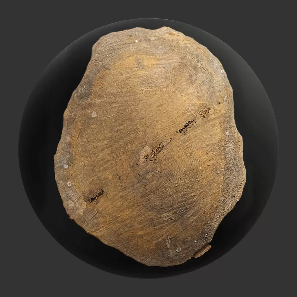 TEXTURES – WOOD – TreeTrunkCut_005