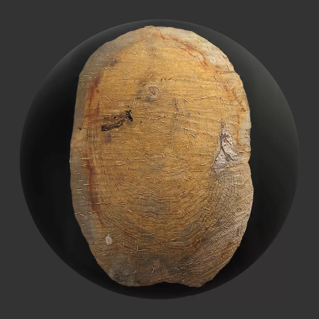 TEXTURES – WOOD – TreeTrunkCut_006