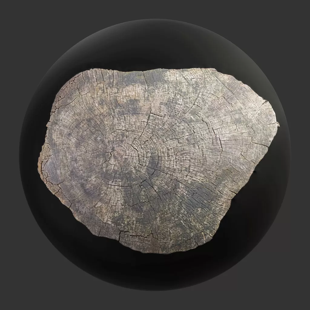 TEXTURES – WOOD – TreeTrunkCut_008