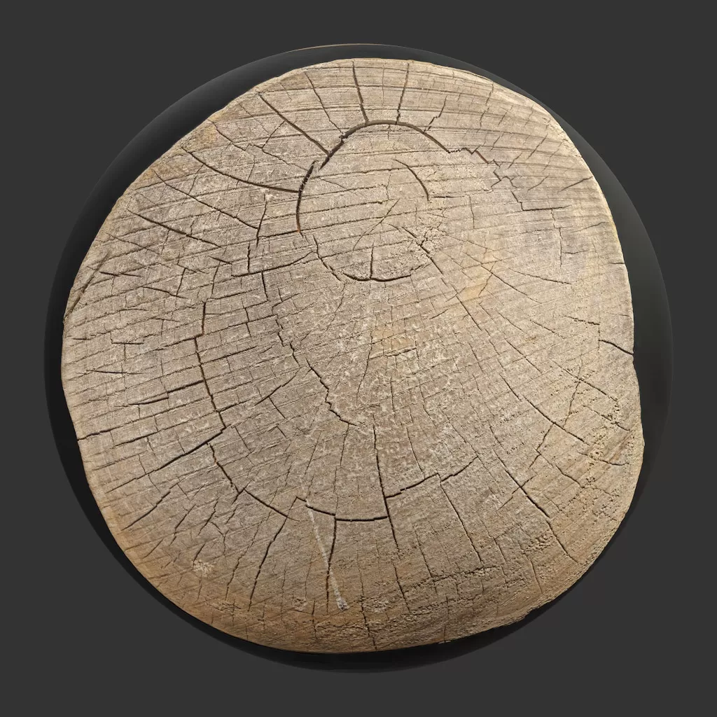 TEXTURES – WOOD – TreeTrunkCut_010