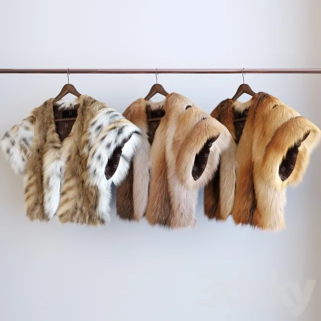 the 3 types of fur 3D Model