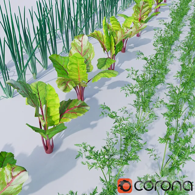 The bed of vegetables 3DModel