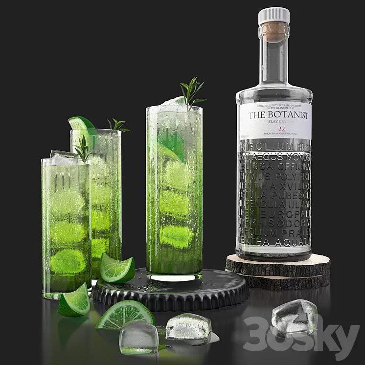 The Botanist gin and mojito with ice 3D Model Free Download