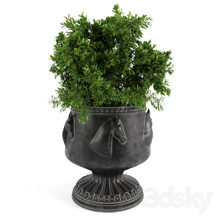 The bush in a flowerpot 3D Model The bush in a flowerpot 3D Model