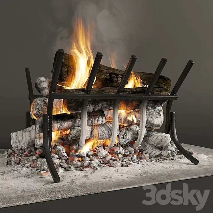 the fire 3D Model
