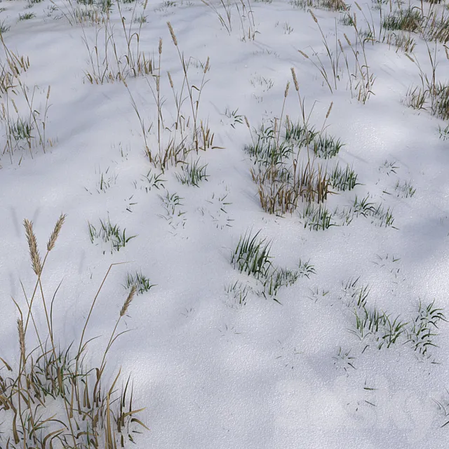 The grass under the snow 3D Model The grass under the snow 3D Model