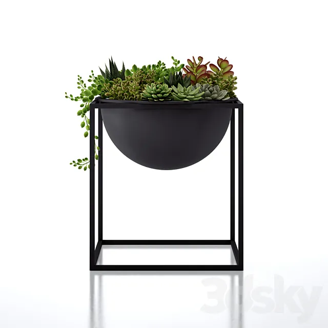 The Kubus Bowl 3DModel The Kubus Bowl 3DModel