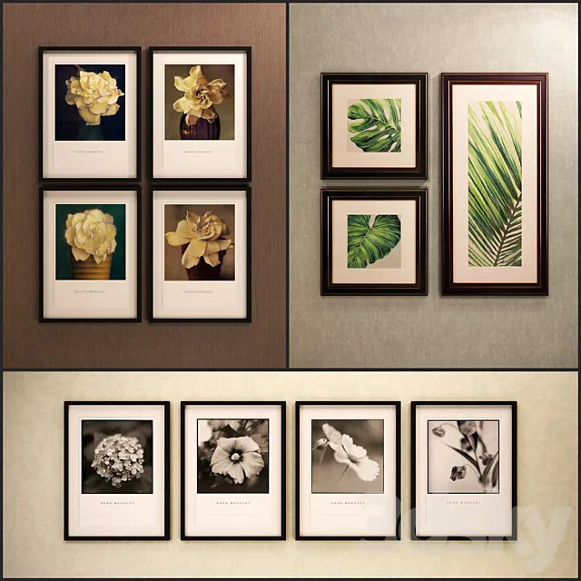 The picture in the frame: 11 Pieces (Collection 13) Flowers 3DModel The picture in the frame: 11 Pieces (Collection 13) Flowers 3DModel