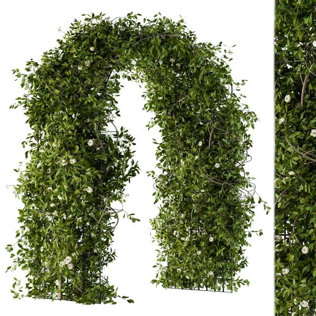 The Plants Pergola 3D Model The Plants Pergola 3D Model