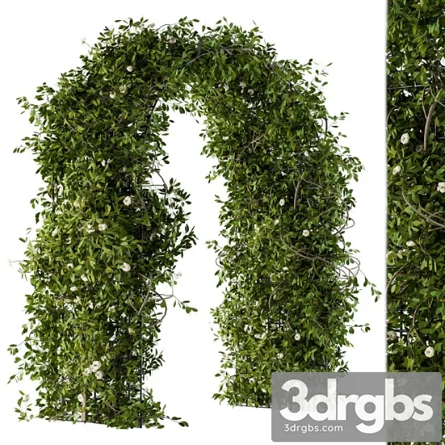 The Plants Pergola 3D Model Download