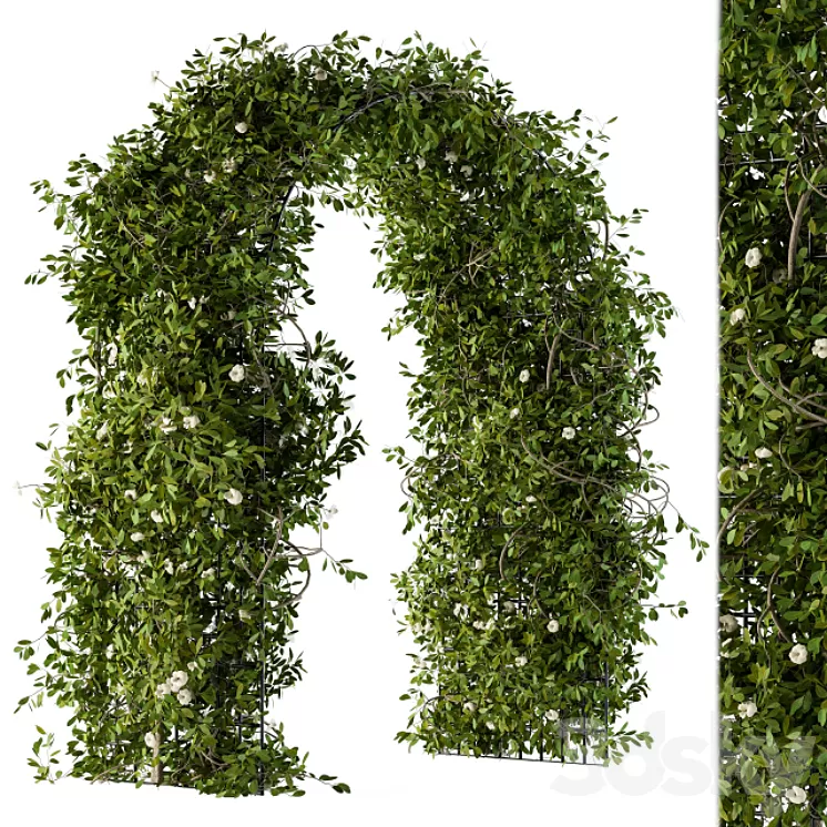 The plants pergola 3D Model