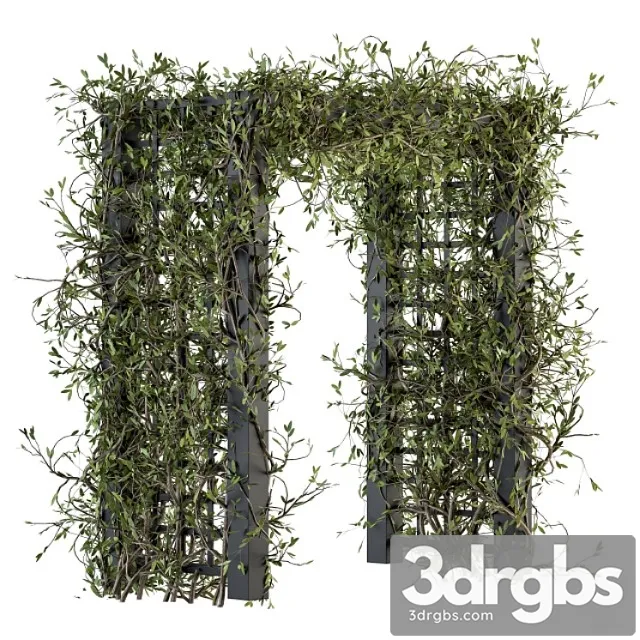 The plants pergola – outdoor plants 195