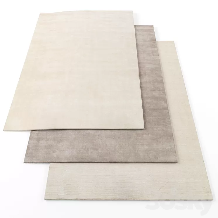 The rug company2 3D Model