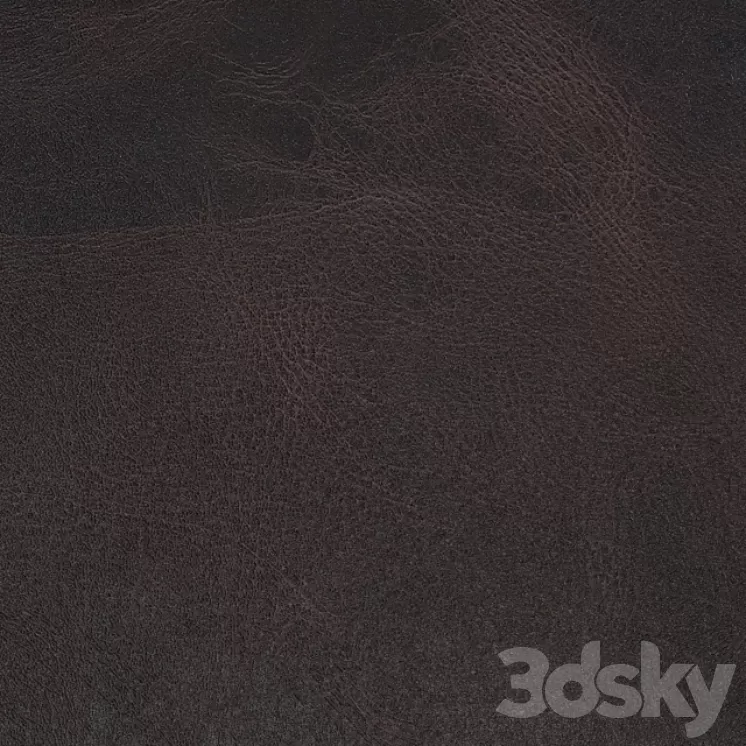 The texture of leather for furniture company Alphenberg. 3D Model