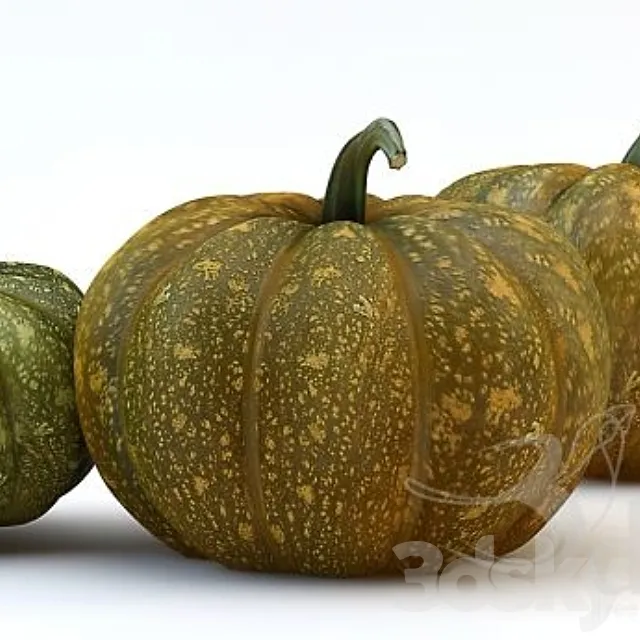 the three pumpkins 3DModel