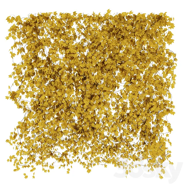 The wall of the maple leaf. 3 types 3DModel