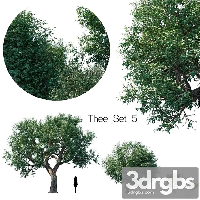 Thee Set 5 3D Model Download