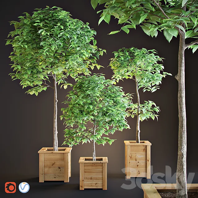 Three trees interior 3D Model Three trees interior 3D Model
