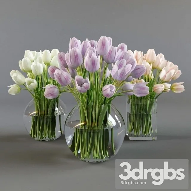Three Vases Tulips 3D Model Download Three Vases Tulips 3D Model Download