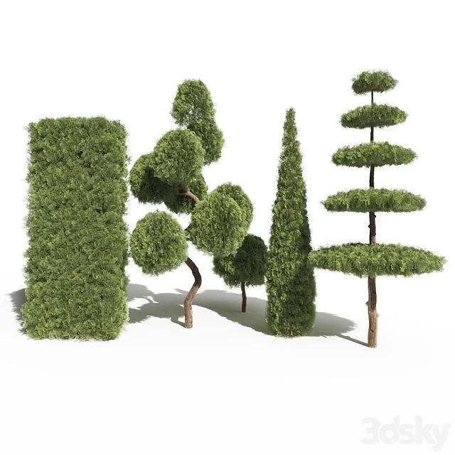 Thuja #2 3D Model