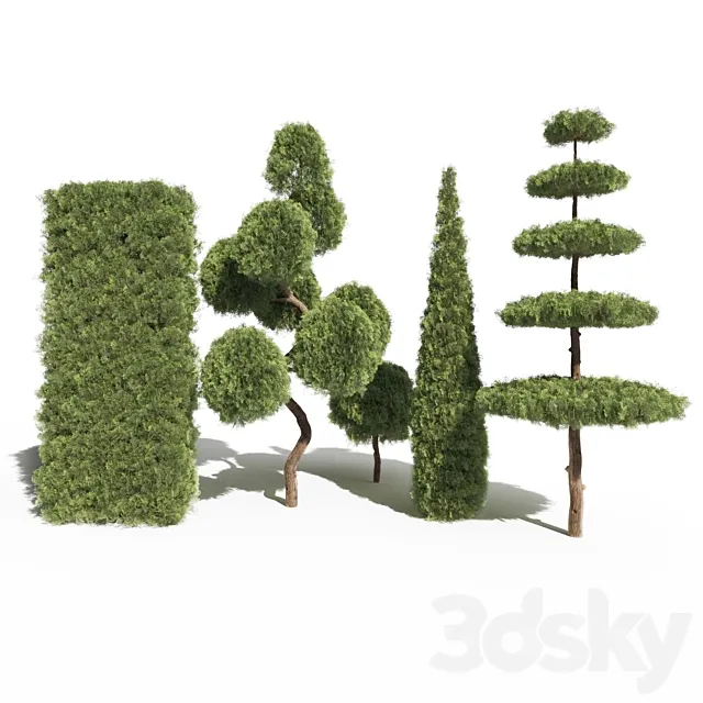 Thuja # 2 (Thuja # 2) 3D Model