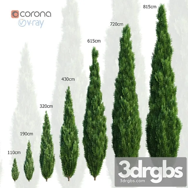 Thuya Set of 7 Models 3D Model Download