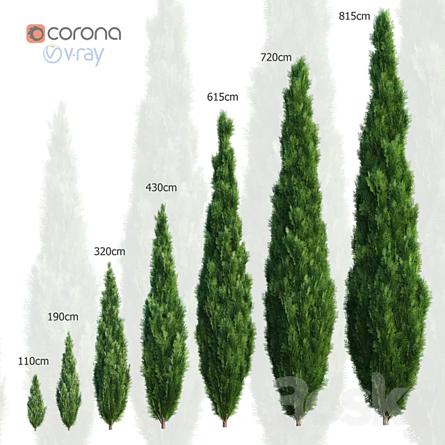 Thuya. Set of 7 models 3DModel Thuya. Set of 7 models 3DModel