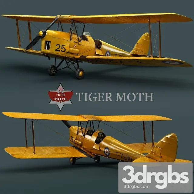 Tiger Moth 3D Model Download