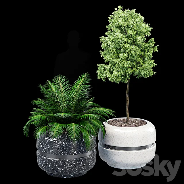 Timeless 820 3D Model Timeless 820 3D Model