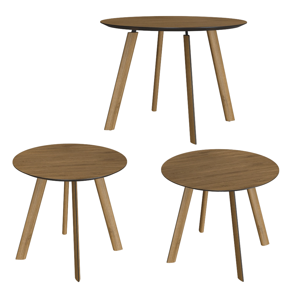 Tony Roaks – Dining table Brasko 3D Model