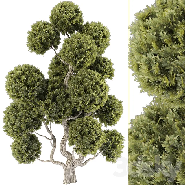 Topiary Ball Tree 144 3D Model