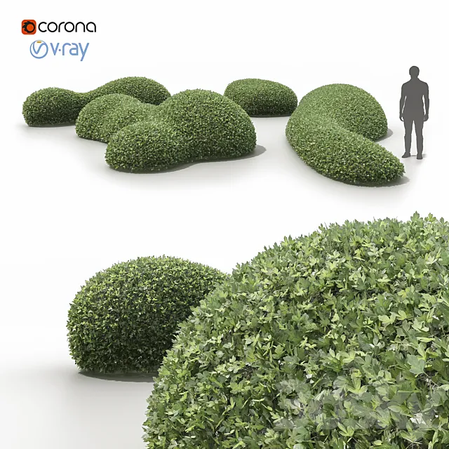 Topiary bushes _ Topiary bushes 3D Model