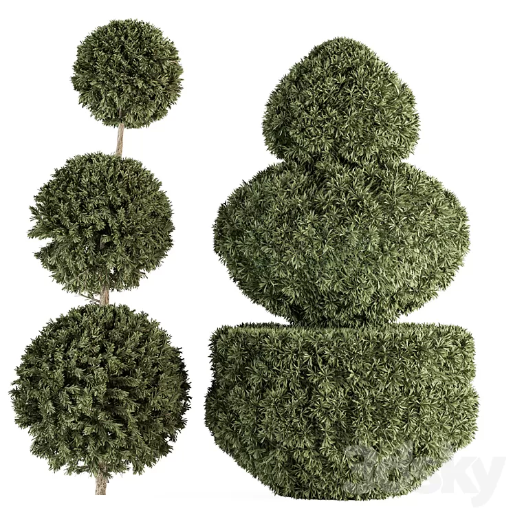 Topiary shape Bush – Bush Set 65 3D Model Free Download Topiary shape Bush – Bush Set 65 3D Model Free Download