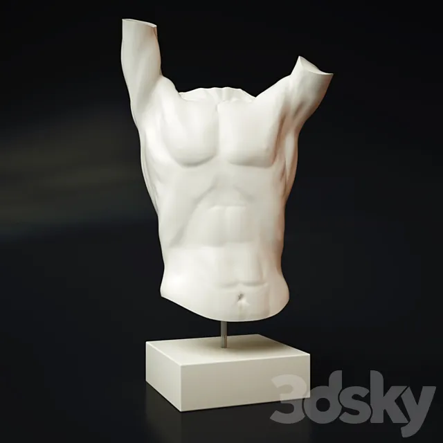 Torso Spin 3DModel