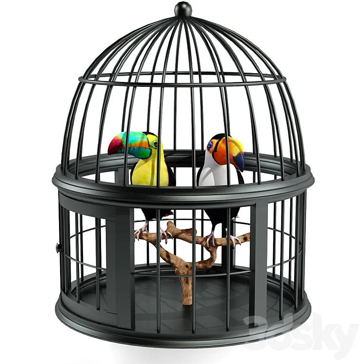 Toucan 3D Model Free Download