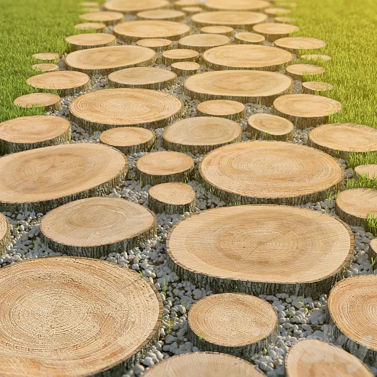 Track of the carcass with pebbles 3D Model