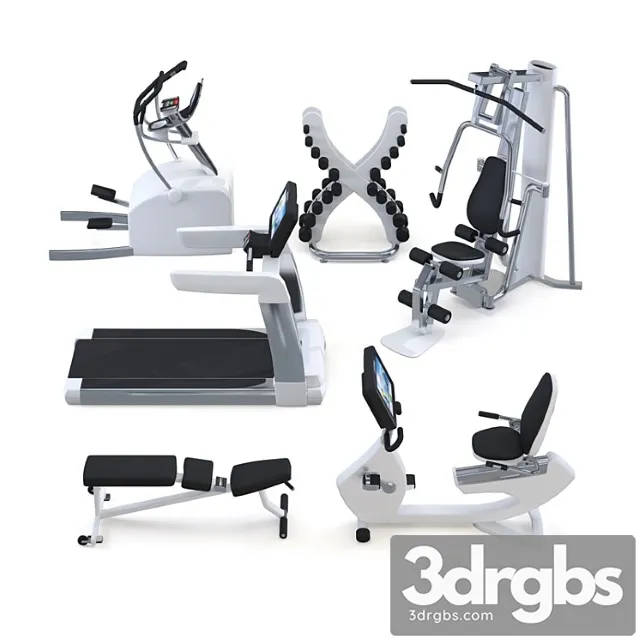 Trainers 3D Model Download