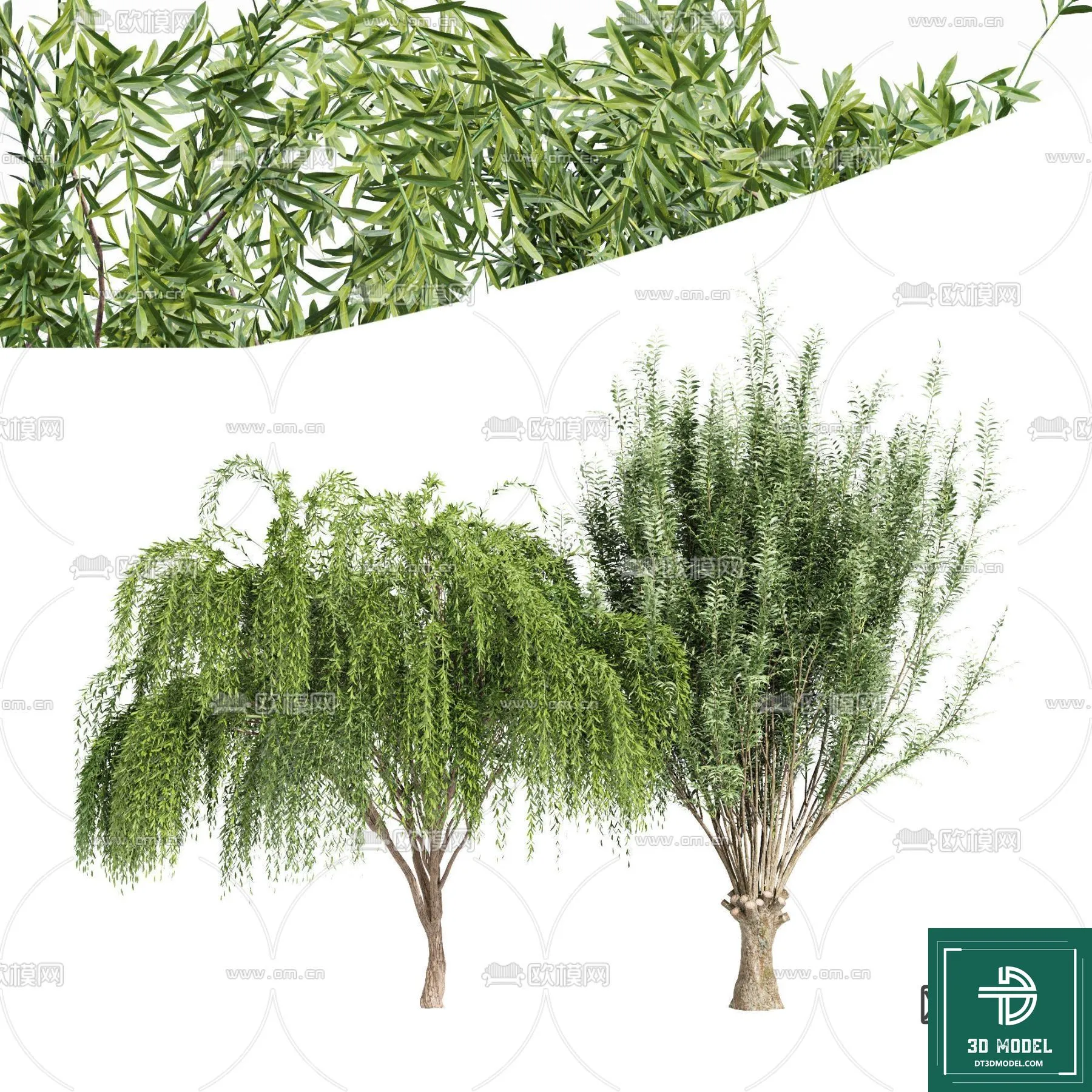 Tree 3D Models – Exterior and Architecture 3DS Max – 116