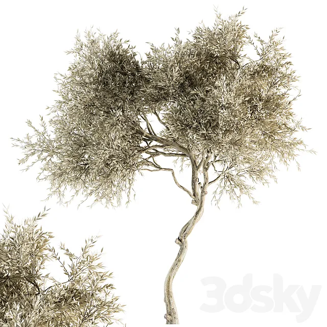 Tree Broadleaf Dried – Set 30 3D Model