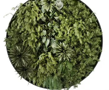 Tree for Exterior 3D Models – 001