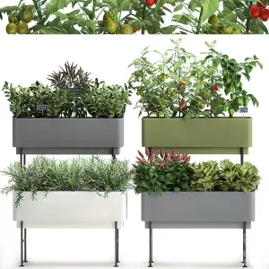 Tree for Exterior 3D Models – 011