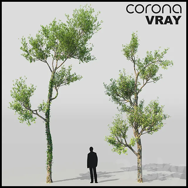 Tree Grab 3DModel Tree Grab 3DModel