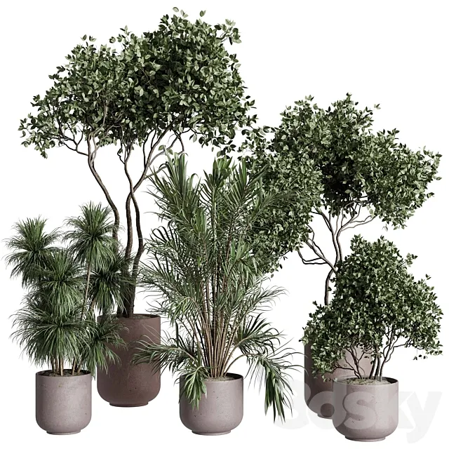 Tree in a concrete pot – indoor plant 569 3D Model