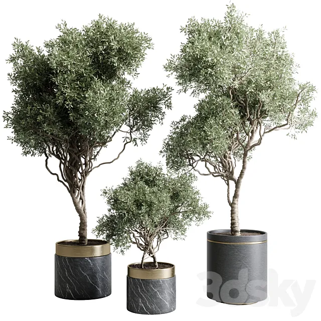Tree in a marble pot – indoor plant 565 3D Model