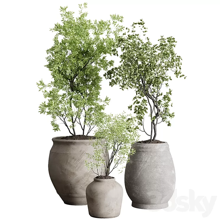 Tree in an Old Earthenware Vase Outdoor Collection 104 3D Model Free Download