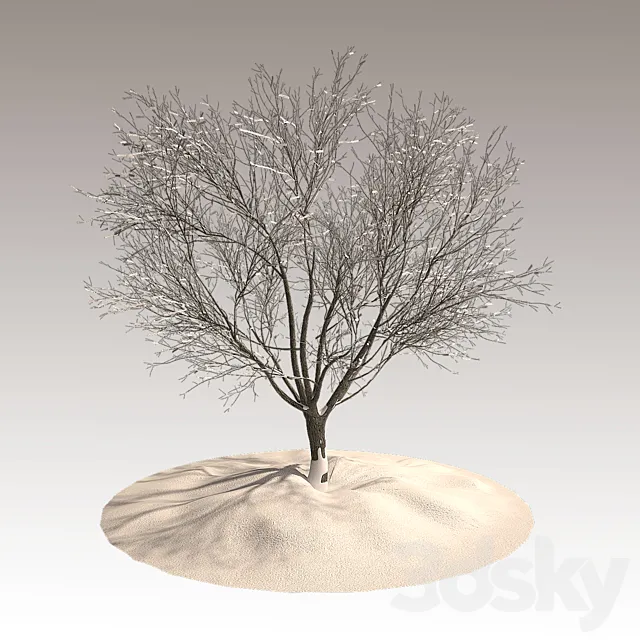 Tree in winter 3DModel Tree in winter 3DModel