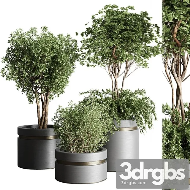 Tree Pots and Shrubs Bush Collection 74 Metal Vase For Outdoor Indoor 3D Model Download