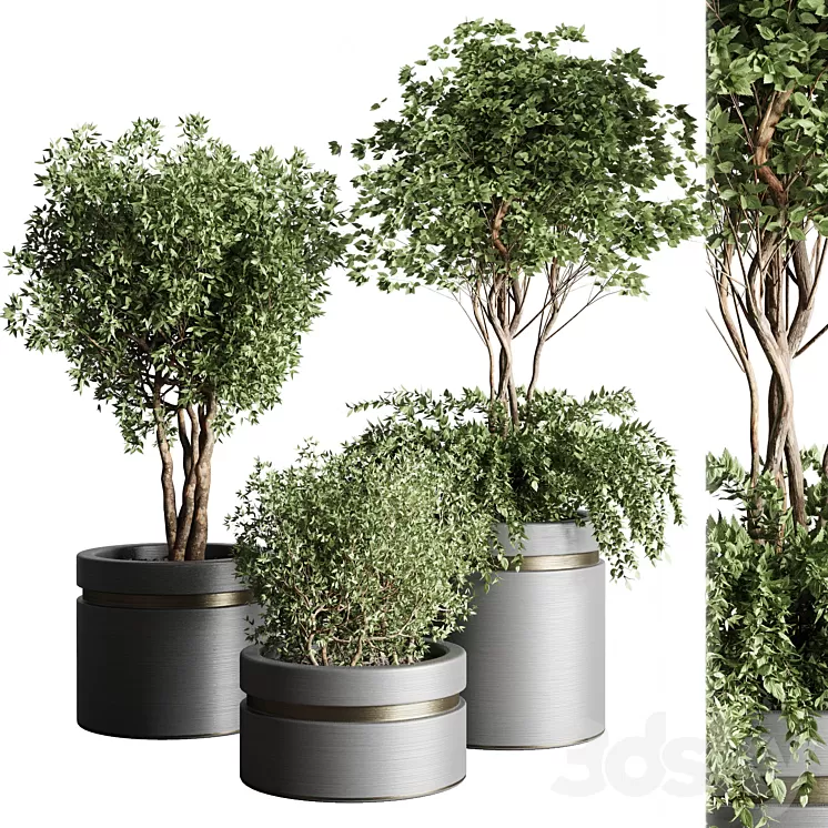 Tree pots and shrubs-bush collection 74 metal vase for outdoor indoor 3D Model Free Download