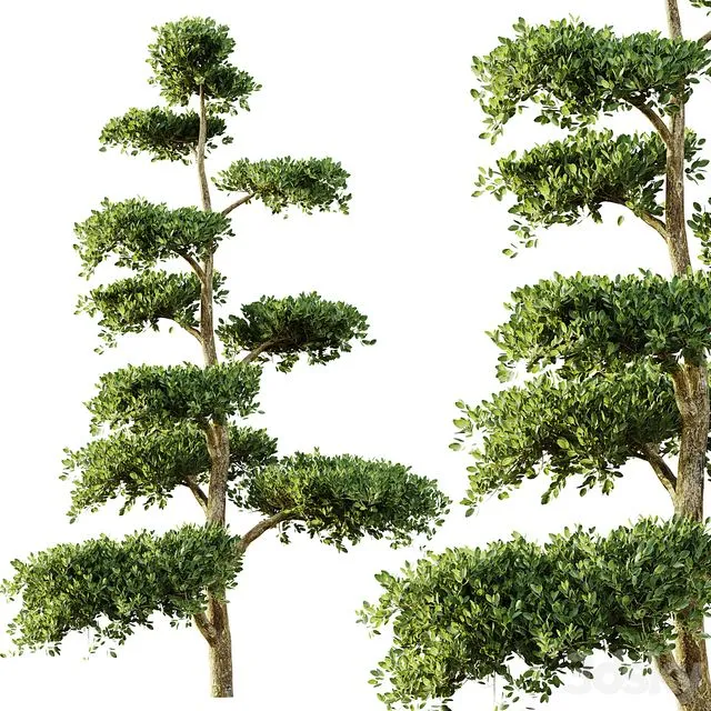 tree set 04 3D Model tree set 04 3D Model