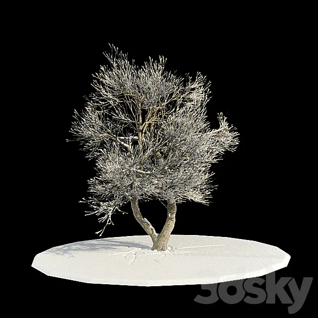 tree-snow v3 _ tree in snow v3 3DModel tree-snow v3 _ tree in snow v3 3DModel
